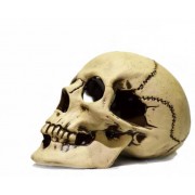 Терракот "Череп большой" 22*14*15 см