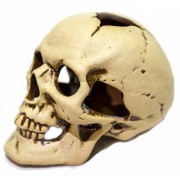 Терракот "Череп средний" 14*9*9.5 см