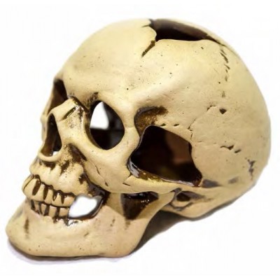 Терракот "Череп средний" 14*9*9.5 см Терракот "Череп средний" 14*9*9.5 см