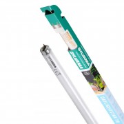 Sylvania "Daylightstar" T8, 15 Вт, 44 см (лампа люминесцентная)