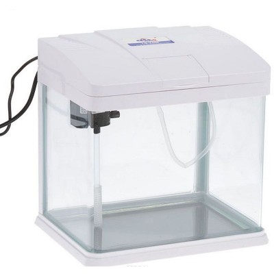 Коралл Синий M (775 р.) Коралл Синий M (775 р.)