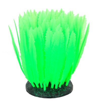 Gloxy "Морская лилия зелёная" Gloxy "Морская лилия зелёная"