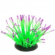 Gloxy "Морской анемон зелёный"