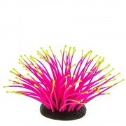 Gloxy "Морской анемон розовый"