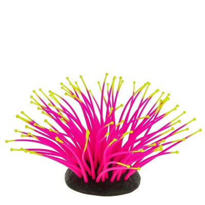 Gloxy "Морской анемон розовый" Gloxy "Морской анемон розовый"