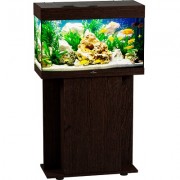 Биодизайн "Start-Up 70" Венге, 70 л, 70*30*42 см (аквариум)
